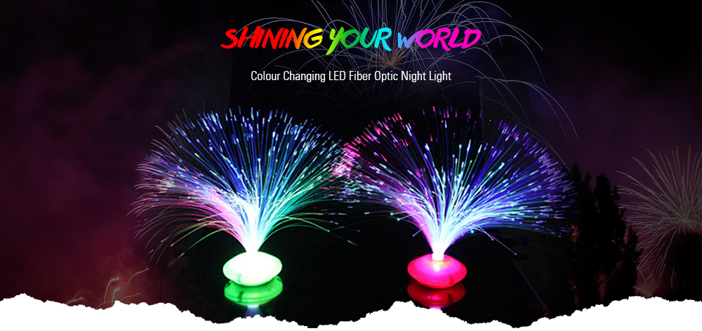 Color Changing LED Fiber Optic Night Light Home Decoration Light